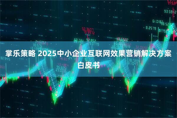 掌乐策略 2025中小企业互联网效果营销解决方案白皮书