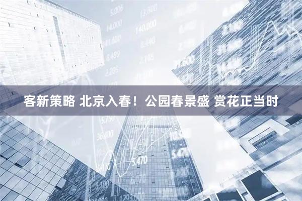 客新策略 北京入春！公园春景盛 赏花正当时
